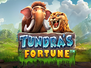 Tundra's Fortune